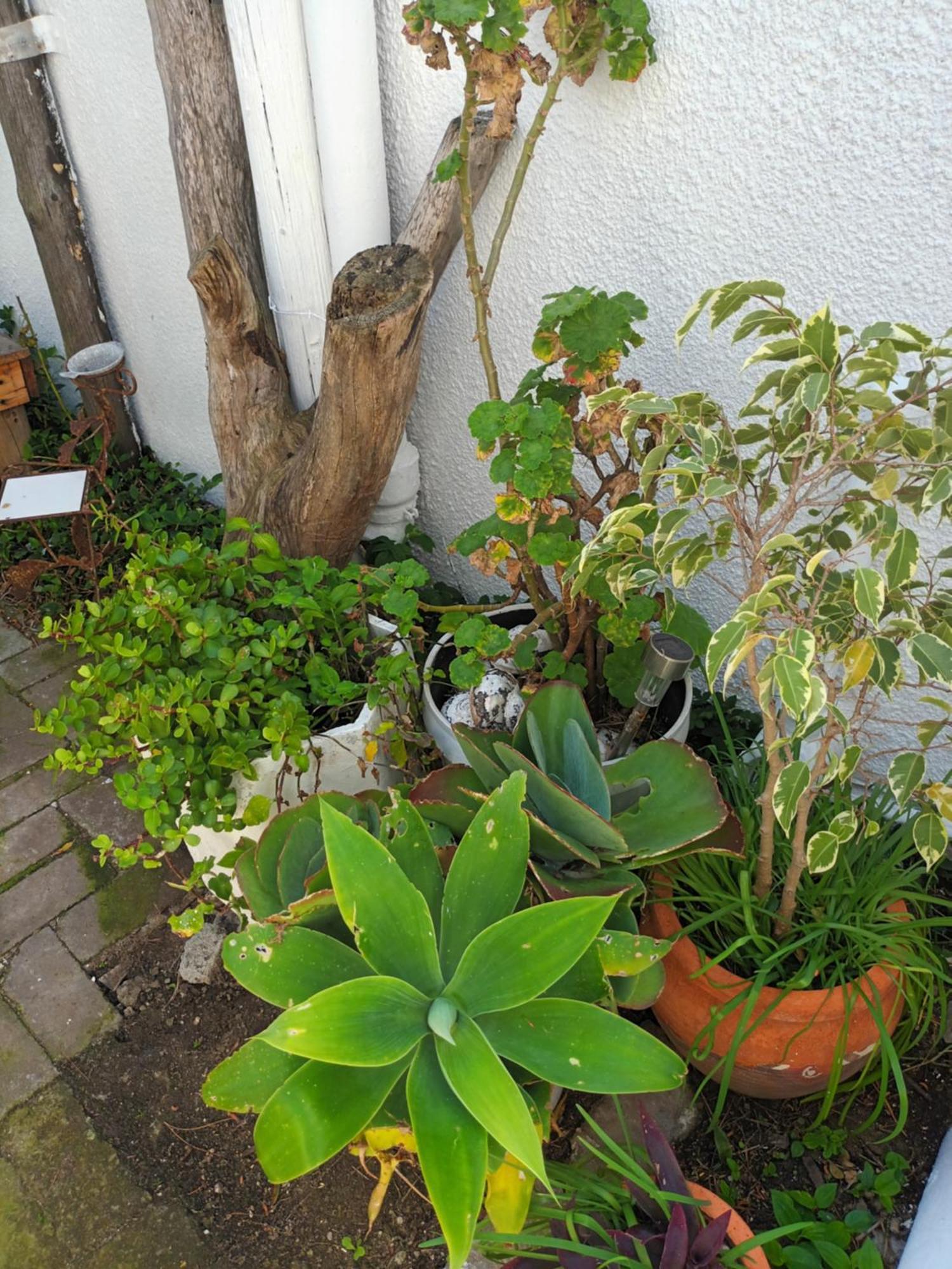 Self Catering Unit 7, Sandbaai Hermanus Szoba fotó